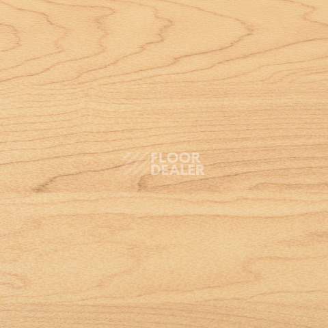 Линолеум Apoluza Sportfloor pvc Wood 6.5 Дерево фото 1 | FLOORDEALER